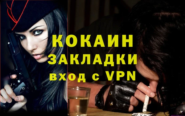 гидра Арсеньев